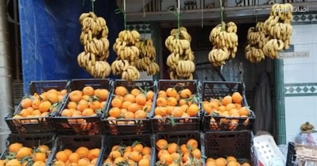 أسعار الفاكهة الشتوية في أسواق الأقصر اليوم 25 ديسمبر 2025