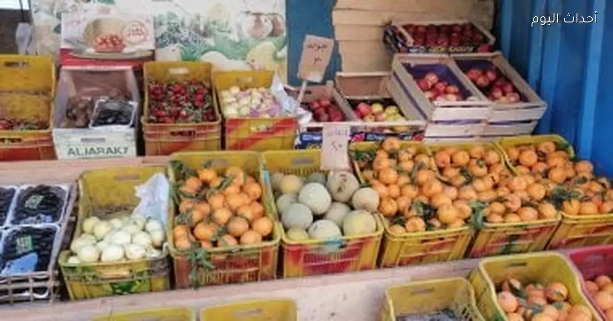 أسعار الفاكهة الشتوية في محلات وأسواق الأقصر اليوم