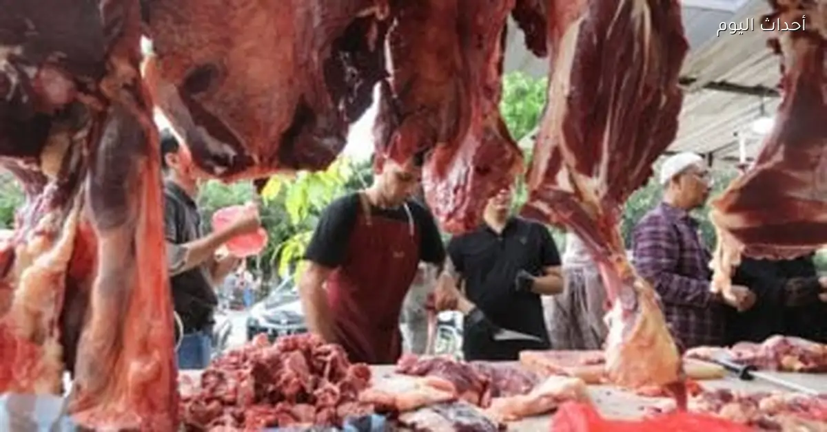 أسعار اللحوم البلدية والمستوردة في أسواق البحيرة اليوم 14 ديسمبر