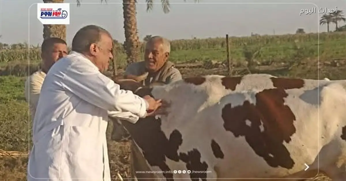 إنجازات قطاع الطب البيطري في قنا لعام 2025