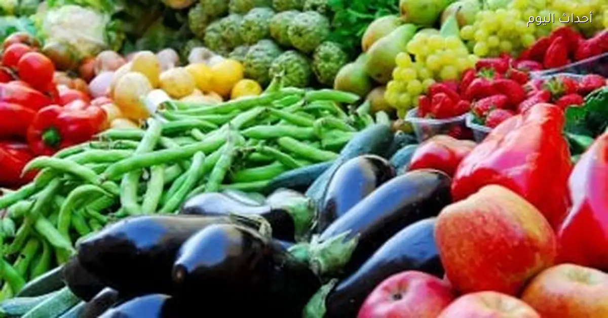 استقرار أسعار الخضروات في أسواق الأقصر اليوم 30 ديسمبر 2025