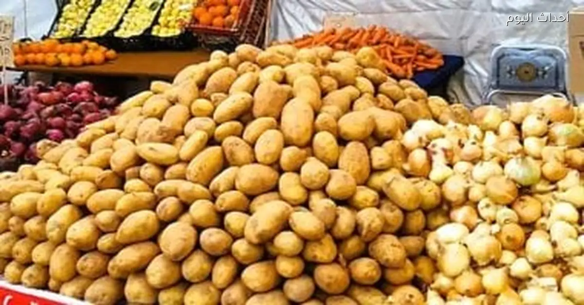 استقرار أسعار الخضروات في الأسواق والمحلات بمدينة الأقصر