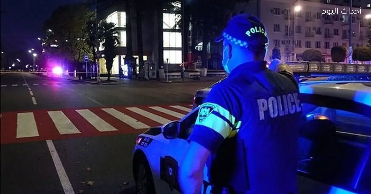 اعتقال وزير الدفاع الجورجي السابق بسبب اقتحام القصر الرئاسي