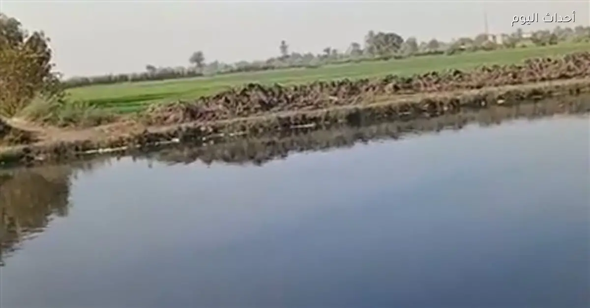 البيئة تحقق في بلاغ عن تمساح بمصرف الشرقية