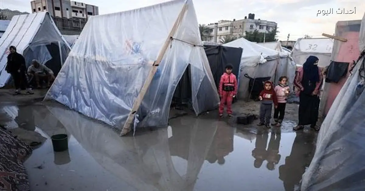 الشوا: المنخفض الجوي الحالي يهدد حياة 1.5 مليون فلسطيني في غزة