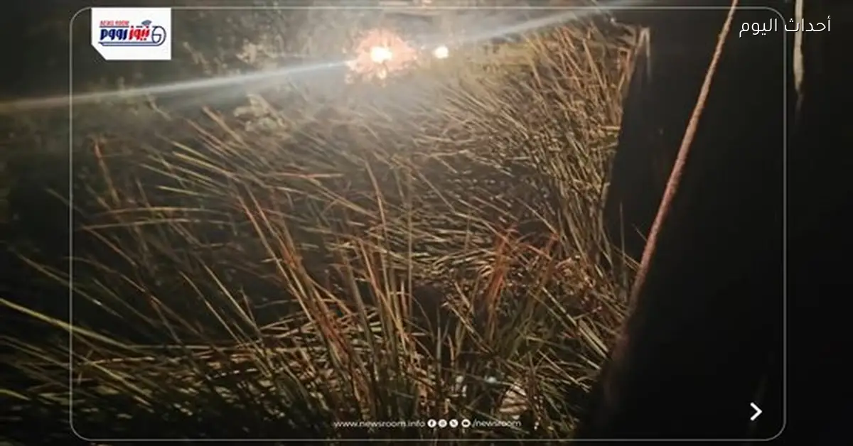 انتشال 6 جثث بعد انقلاب ميكروباص في قنا