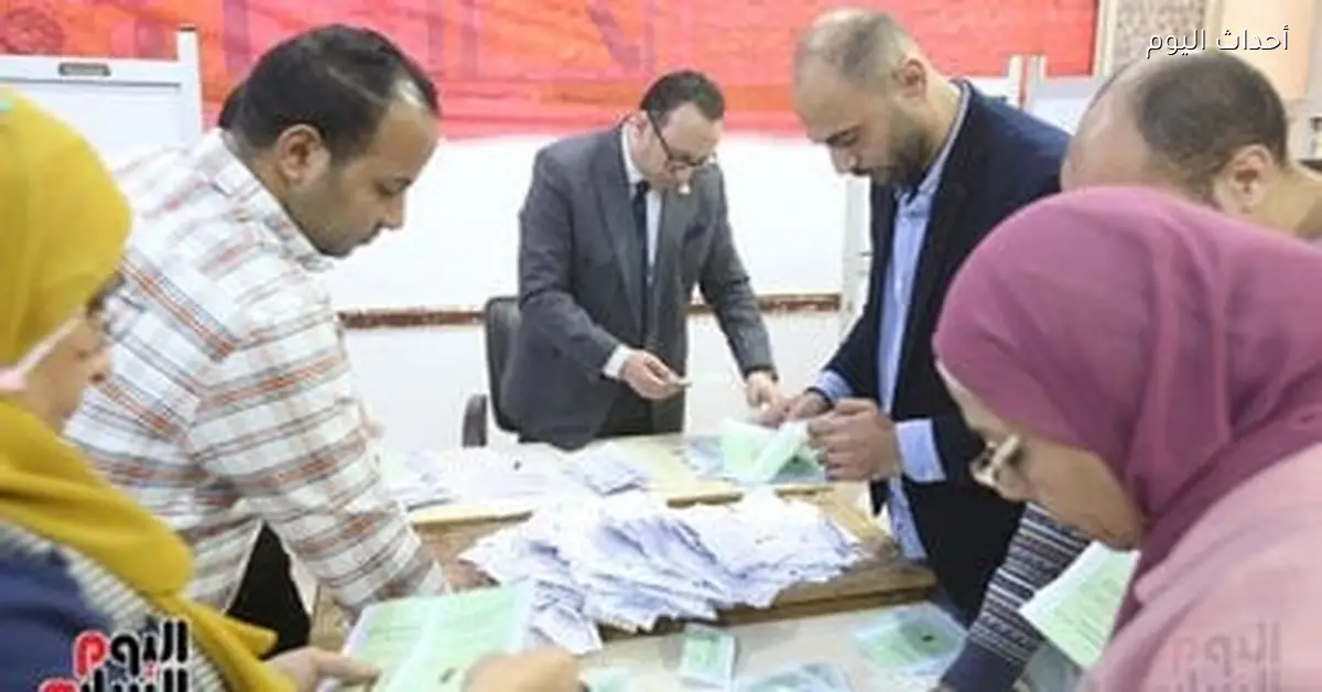 باسم بهاء يحصل على 121327 صوت في الحصر العددي لدائرة دكرنس وشربين وبني عبيد