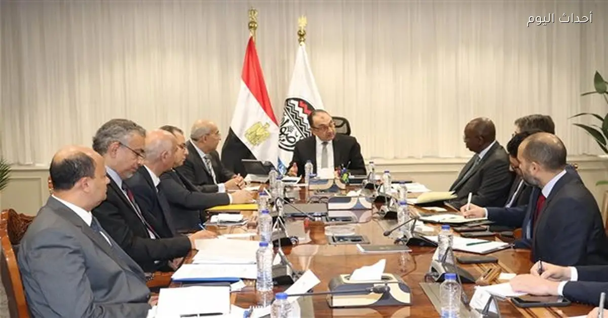 برنامج الطروحات الحكومية يعزز الاستثمارات والقطاع الخاص