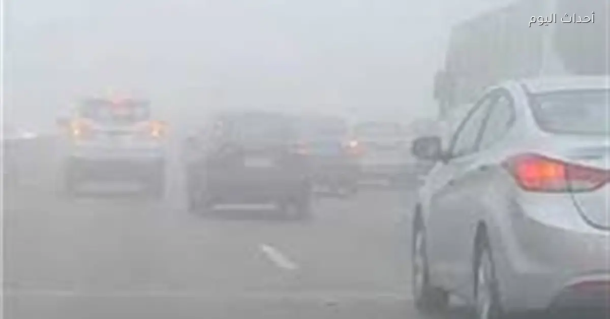 تحذير من الأرصاد: شبورة وأمطار ورياح في السويس