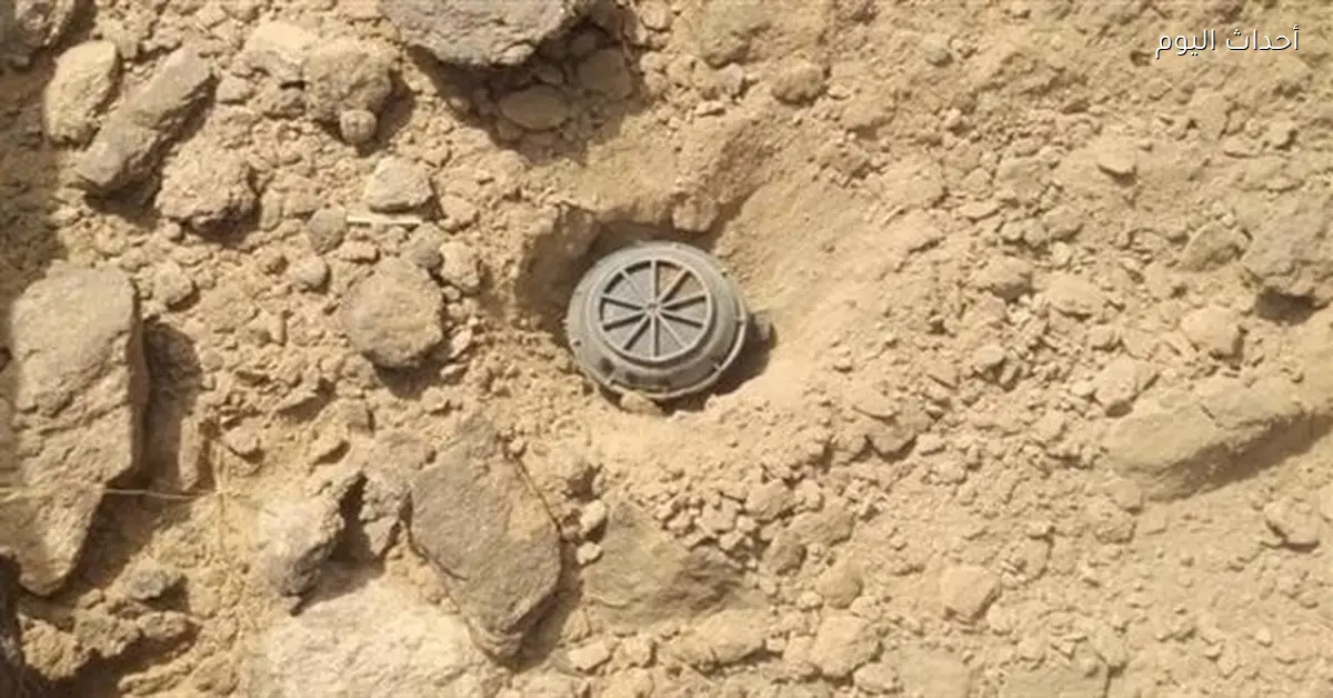 ترامب يلغي حظر بايدن على استخدام الألغام المضادة للأفراد