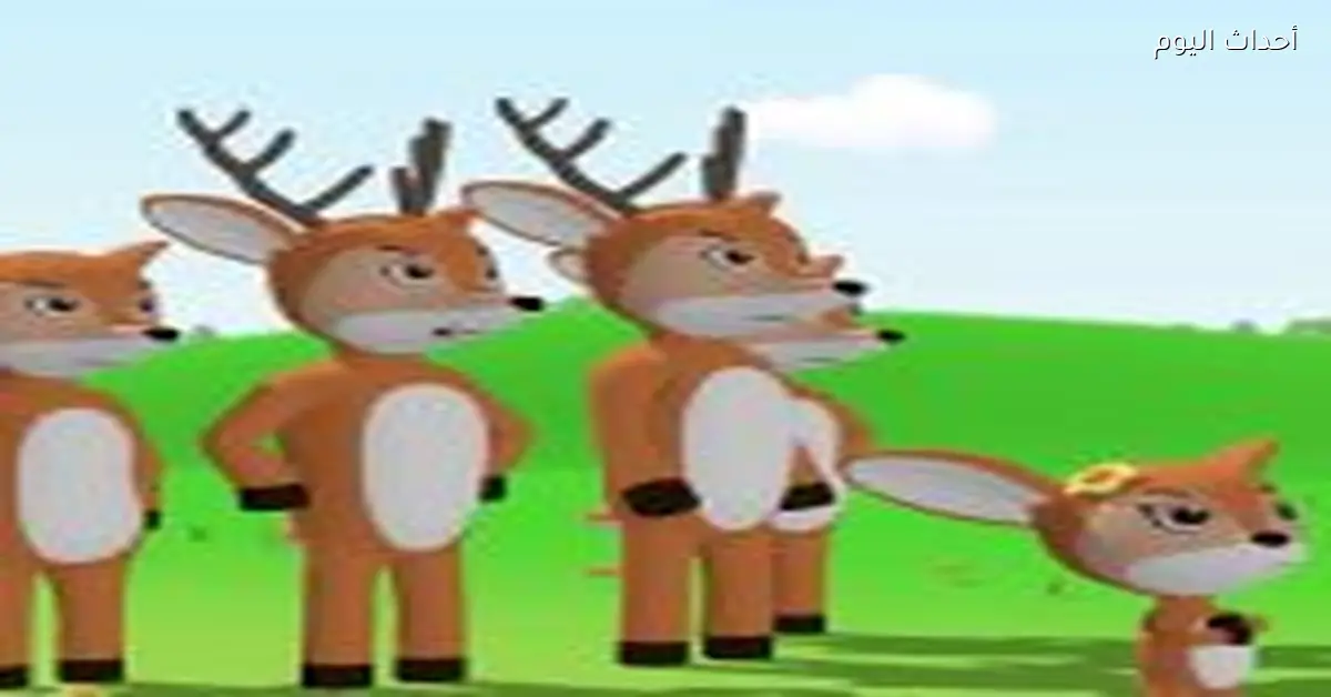 تردد طيور الجنة 2025 لمحتوى آمن ونظيف