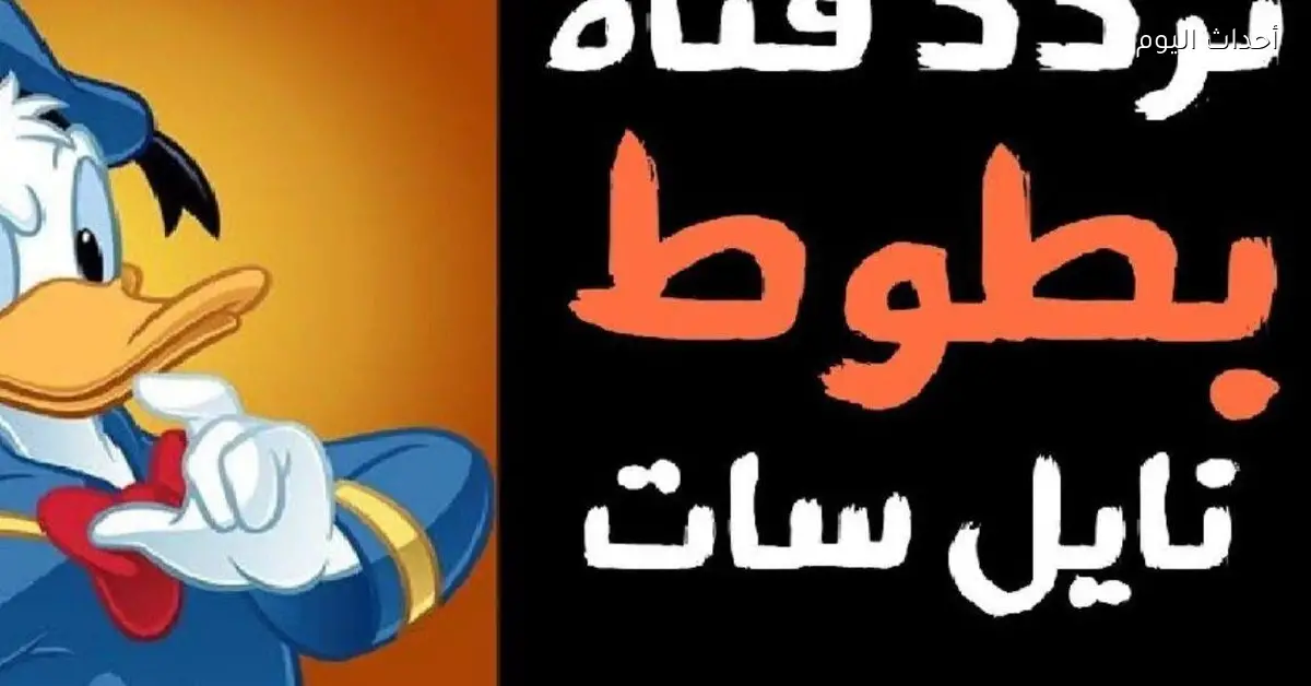 تردد قناة بطوط 2025 برامج تعليمية وترفيهية للأطفال بجودة ممتازة