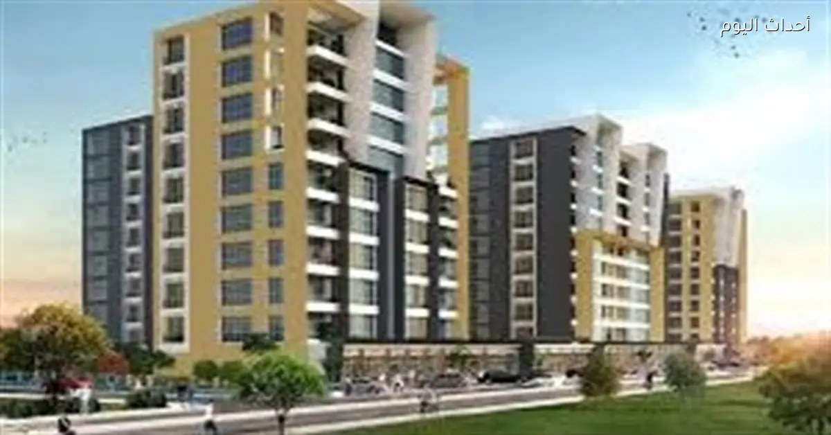 تصدير العقار يعزز تنظيم السوق ويدعم الاقتصاد