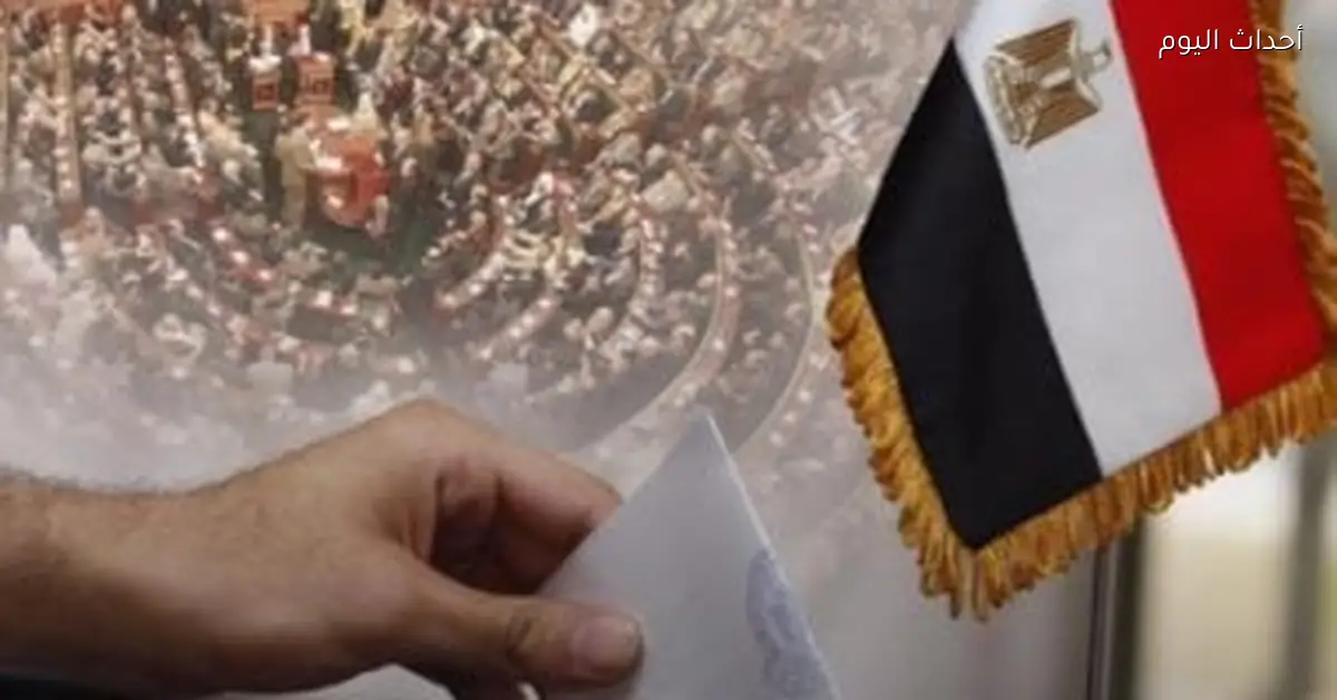 تصويت المصريين في نيوزيلندا لإعادة الدوائر الملغاة لانتخابات النواب