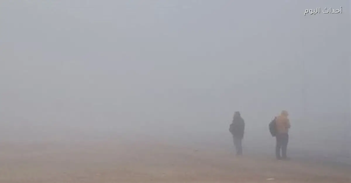 حالة الطقس اليوم الأحد 28 ديسمبر 2025 تشمل شبورة ورياح وأمطار