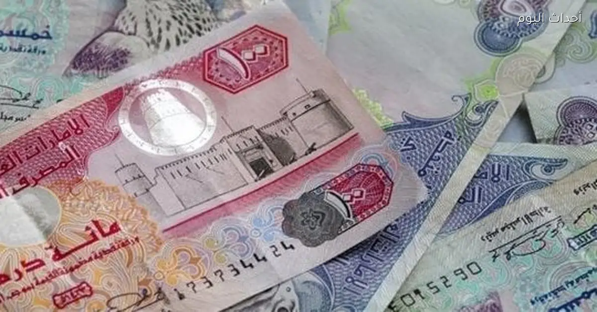 سعر الدرهم الإماراتي مقابل الجنيه المصري اليوم