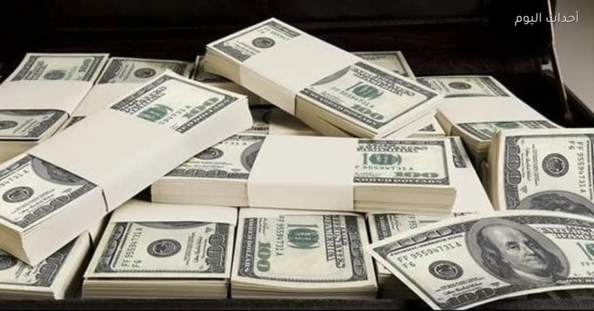 سعر الدولار في مصر اليوم الاثنين 29 ديسمبر 2025