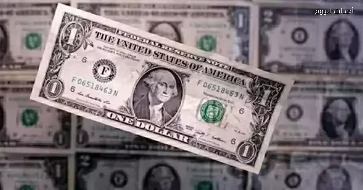 سعر الدولار مقابل الجنيه في البنك المركزي اليوم 31 ديسمبر 2025