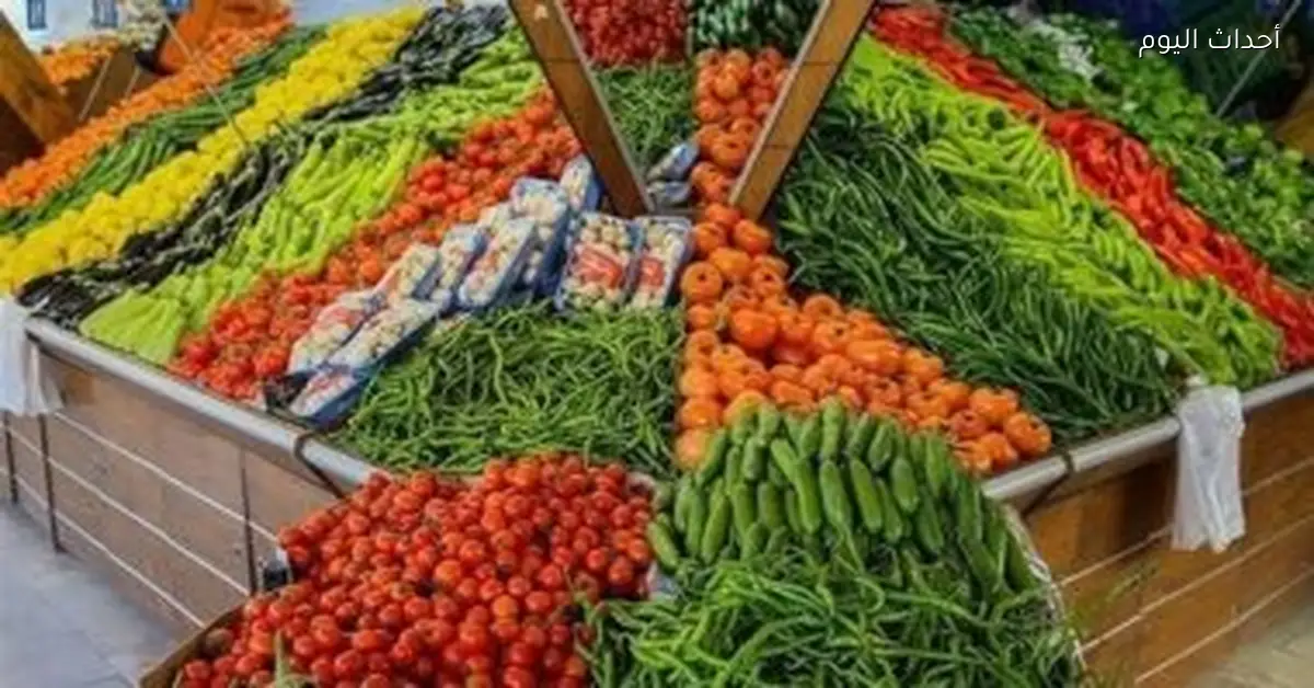 سعر الطماطم والبصل والبطاطس في أسواق بني سويف 10 جنيهات اليوم