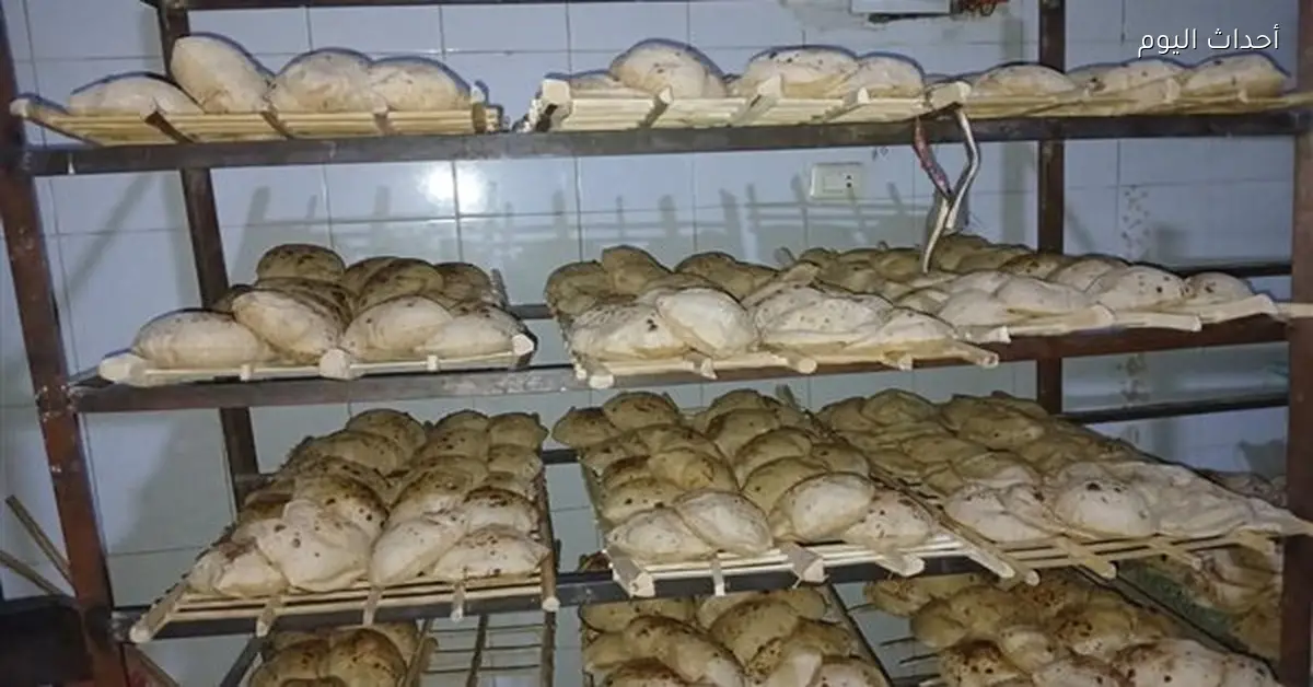 ضبط 500 لتر سولار وسلع منتهية الصلاحية في بني سويف