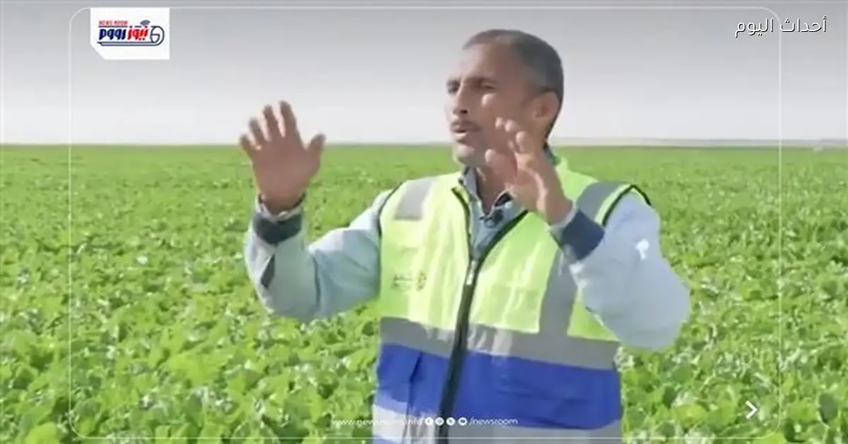 عامل يروي كيف غير جهاز مستقبل مصر حياته نحو التنمية المستدامة