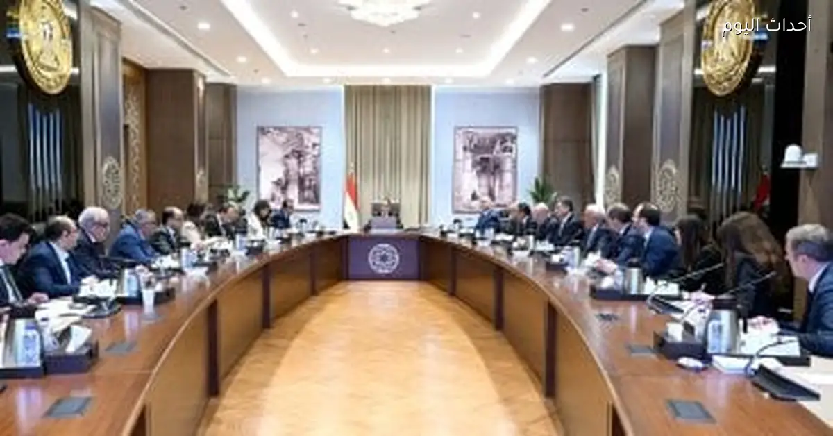 مدبولي يلتقي مسؤولي شركة إيني ومستشفيات سان دوناتو الإيطالية لبحث التعاون