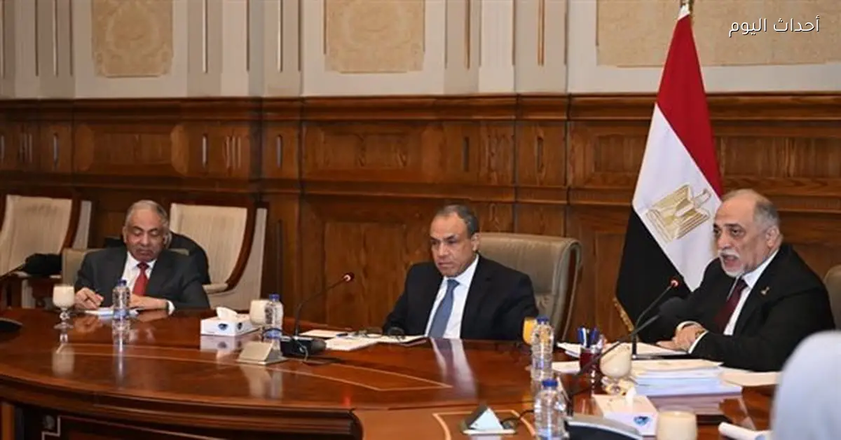 مصر تعرض جهودها في حقوق الإنسان أمام مجلس الشيوخ