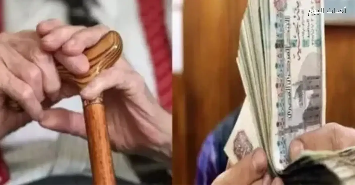 مواعيد صرف معاشات يناير 2026 حسب بيان هيئة التأمينات الاجتماعية