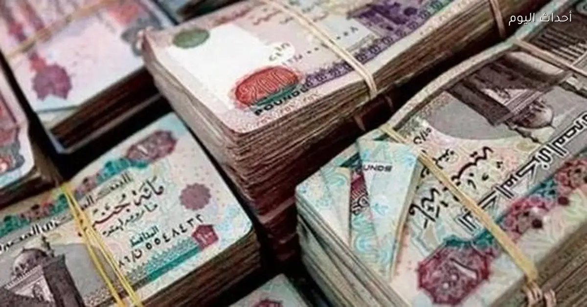 موعد صرف مرتبات يناير 2026 حسب وزارة المالية والجهات الحكومية