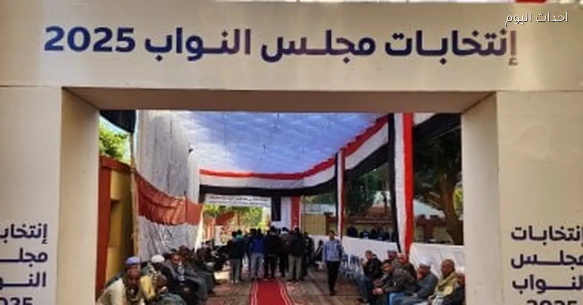 نتائج إعادة المرحلة الثانية بانتخابات النواب تظهر في الجريدة الرسمية