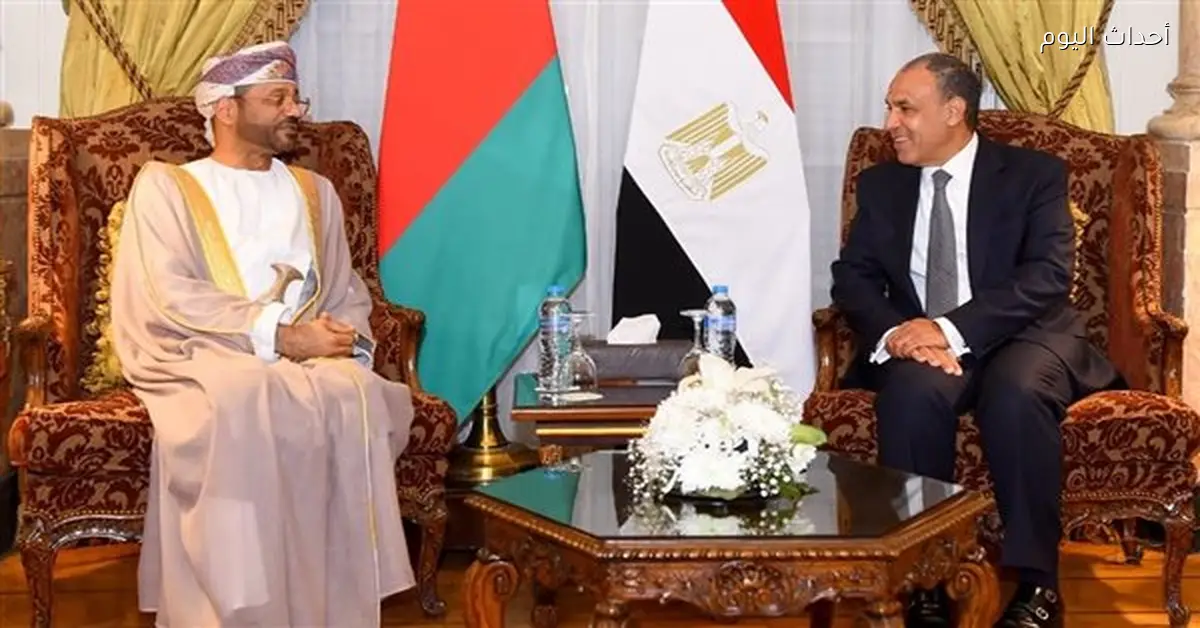وزير الخارجية المصري يلتقي نظيره العماني في القاهرة