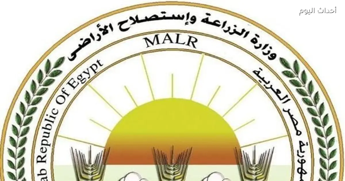 فتح السوق الأوزبكي أمام صادرات الفراولة المصرية