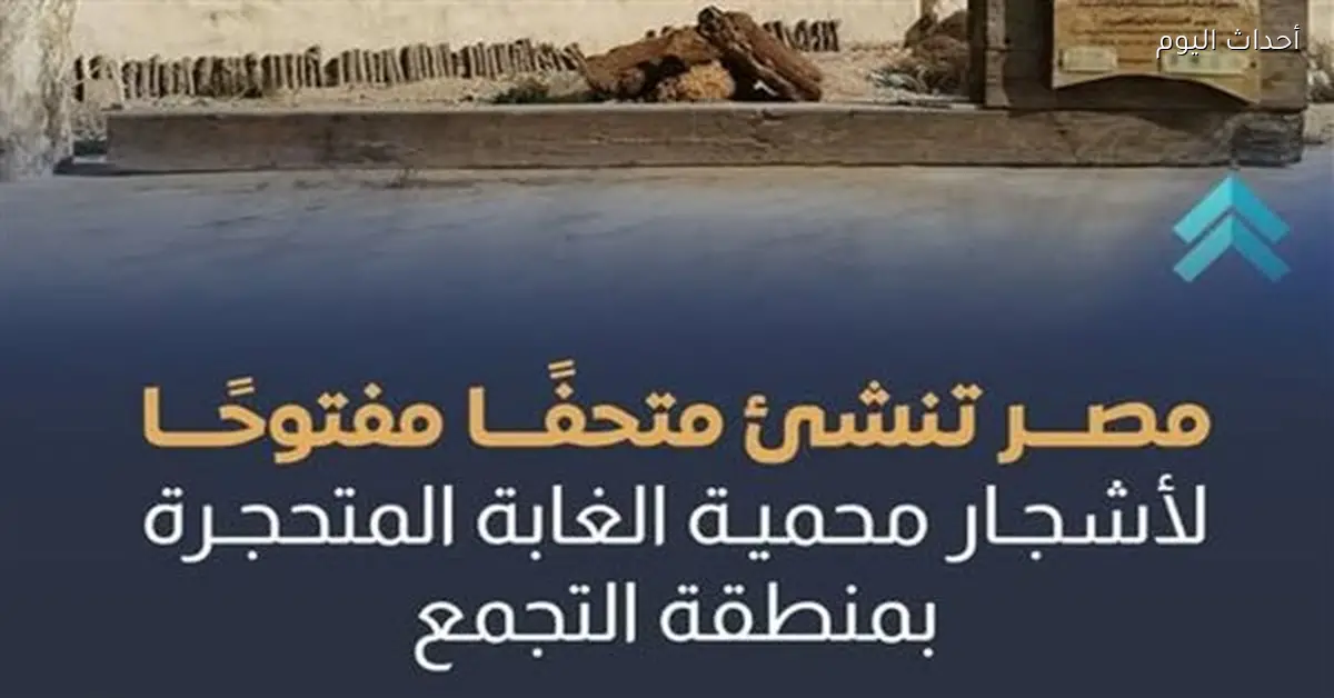 متحف مفتوح لأشجار محمية الغابة المتحجرة في مصر