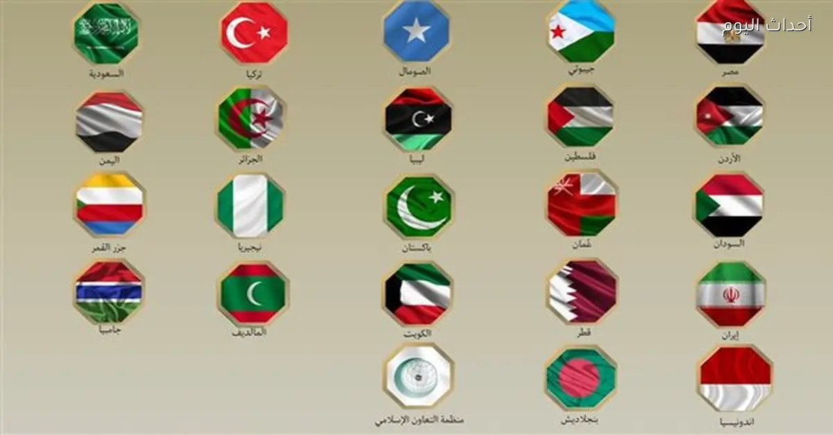 23 دولة عربية وإسلامية تشمل مصر تصدر بيانا مشتركا حول إقليم أرض الصومال