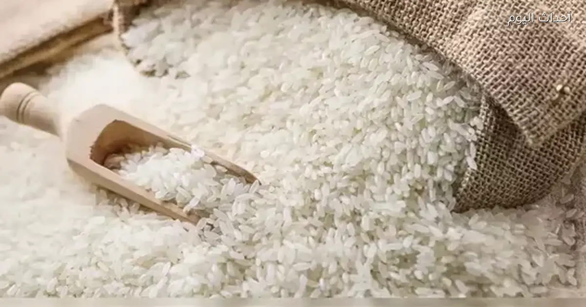 أسعار الأرز الشعير اليوم الجمعة 16 يناير 2026