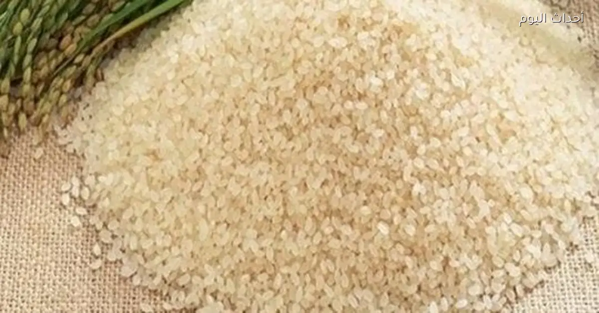 أسعار الأرز الشعير في الأسواق اليوم الثلاثاء 13 يناير 2026
