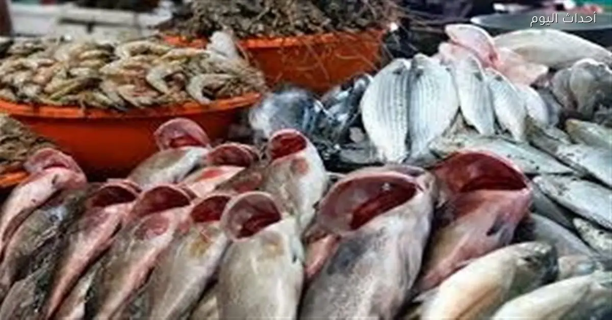 أسعار الأسماك اليوم السبت 3 يناير 2026