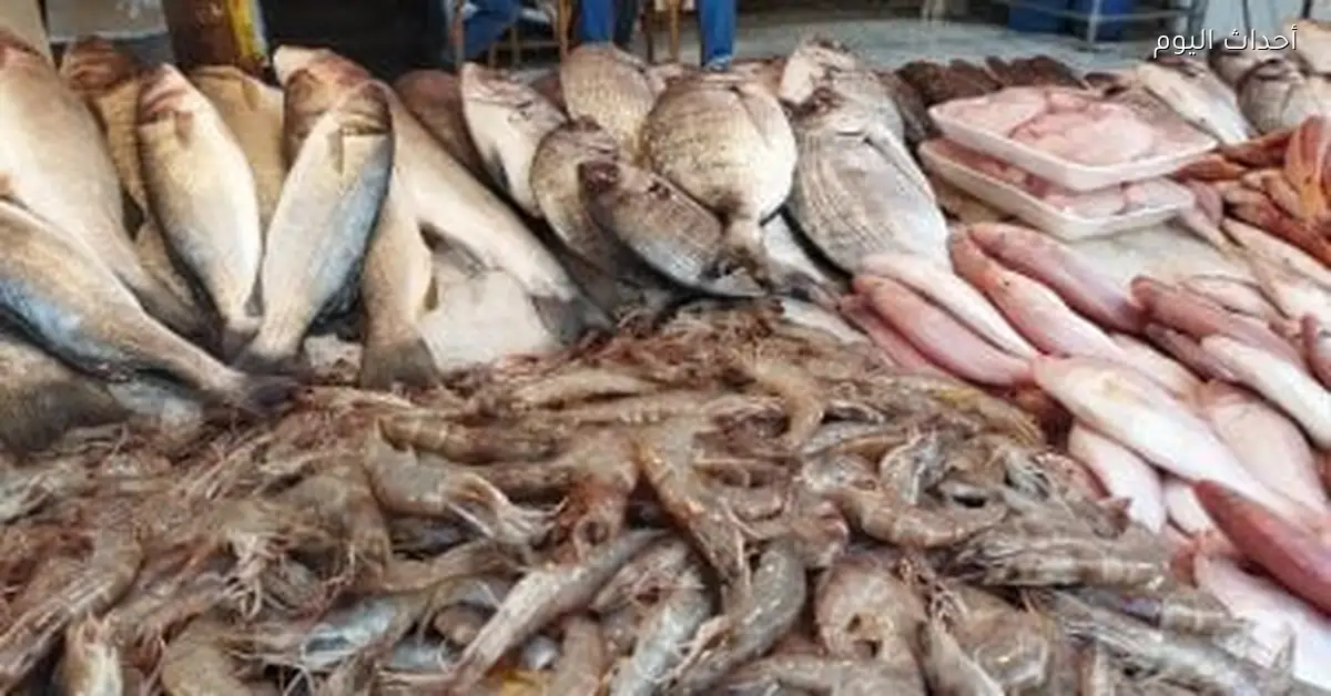 أسعار الأسماك في أسواق مطروح اليوم الوقار بـ 450 جنيه