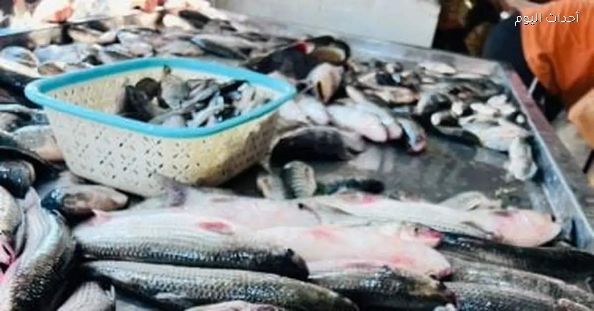 أسعار الأسماك في كفر الشيخ: البلطي بـ50 جنيه السبت 10 يناير 2026