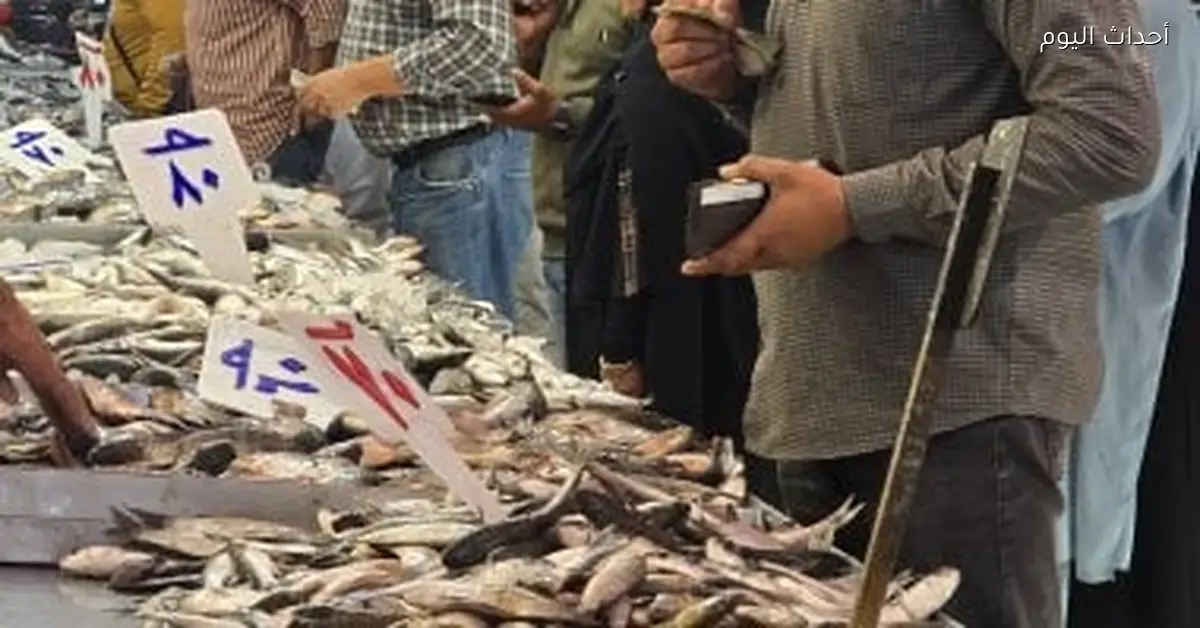 أسعار الأسماك في مطروح اليوم السبت 3 يناير 2025 القاروص بـ 180 جنيه