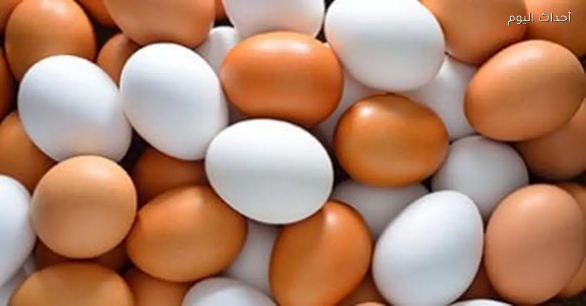 أسعار الألبان والبيض والشاي والبقوليات في سوهاج اليوم 16 يناير 2026