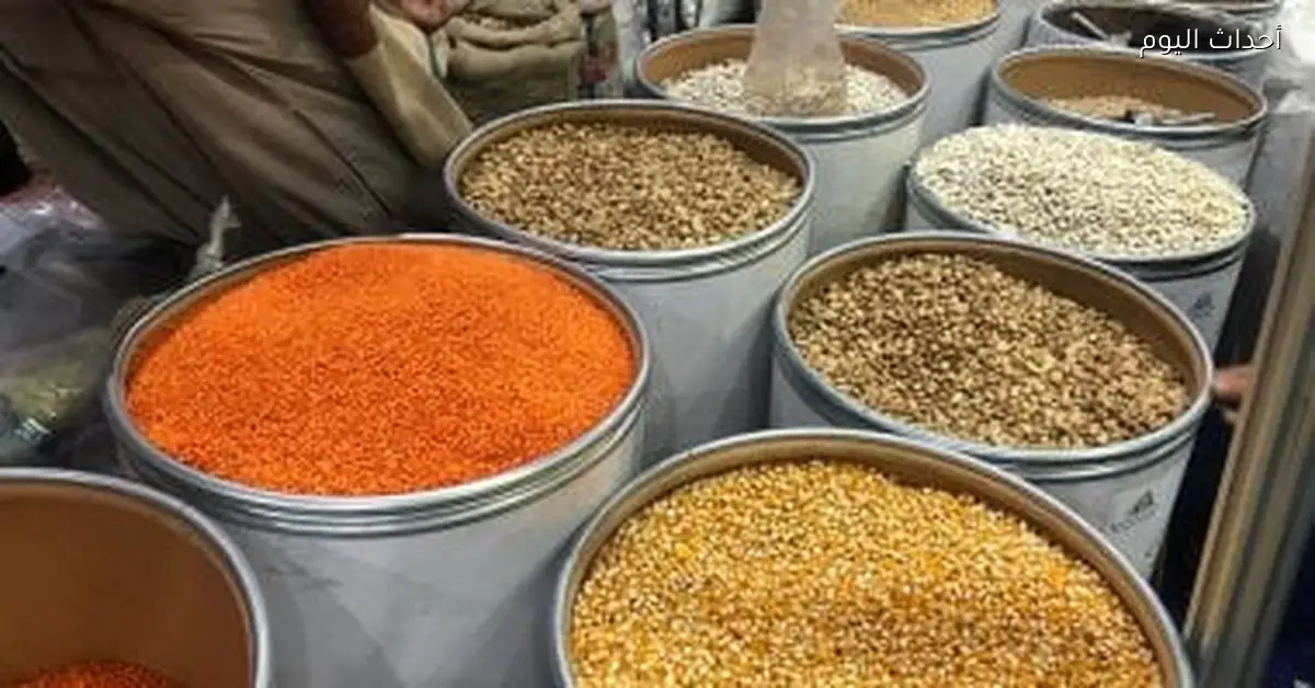أسعار البقوليات في كفر الشيخ الفول يسجل 50 جنيه الخميس 15 يناير 2026