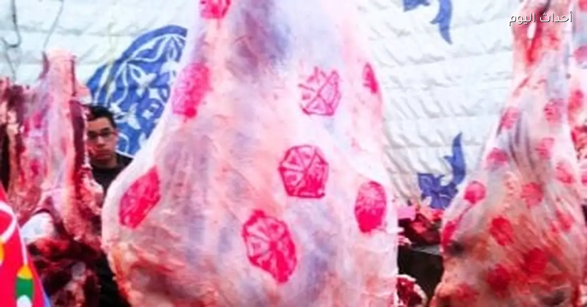 أسعار الدواجن واللحوم والأسماك في سوهاج اليوم 16 يناير 2026