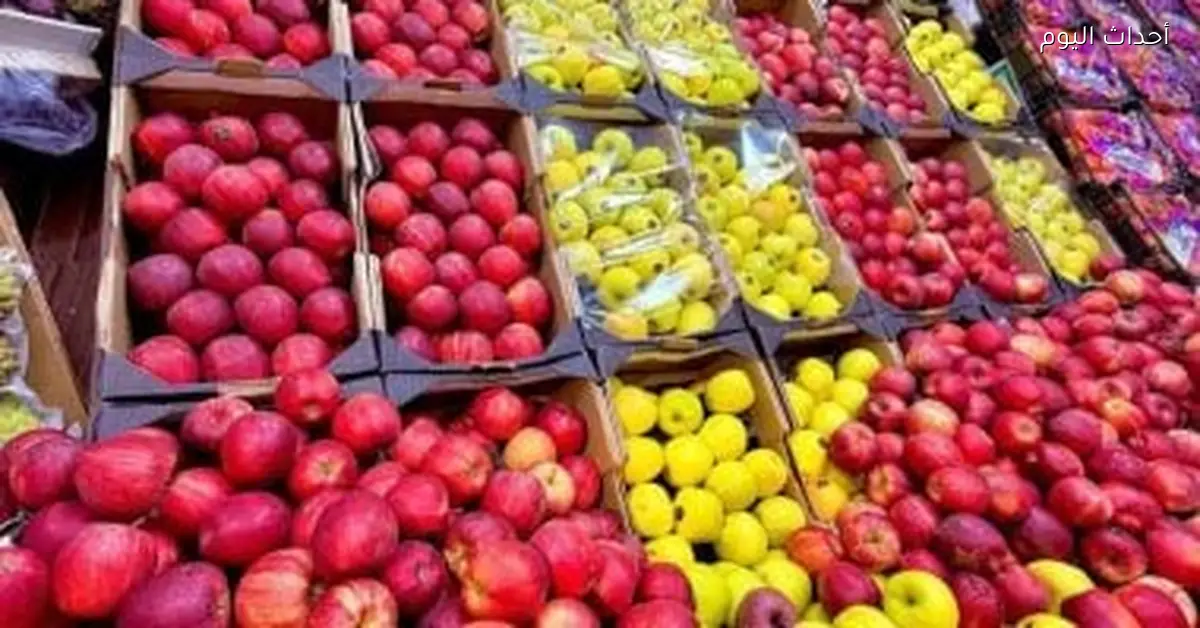 أسعار الفاكهة في سوهاج اليوم البرتقال 15 جنيها واليوسفي 10 جنيهات للكيو