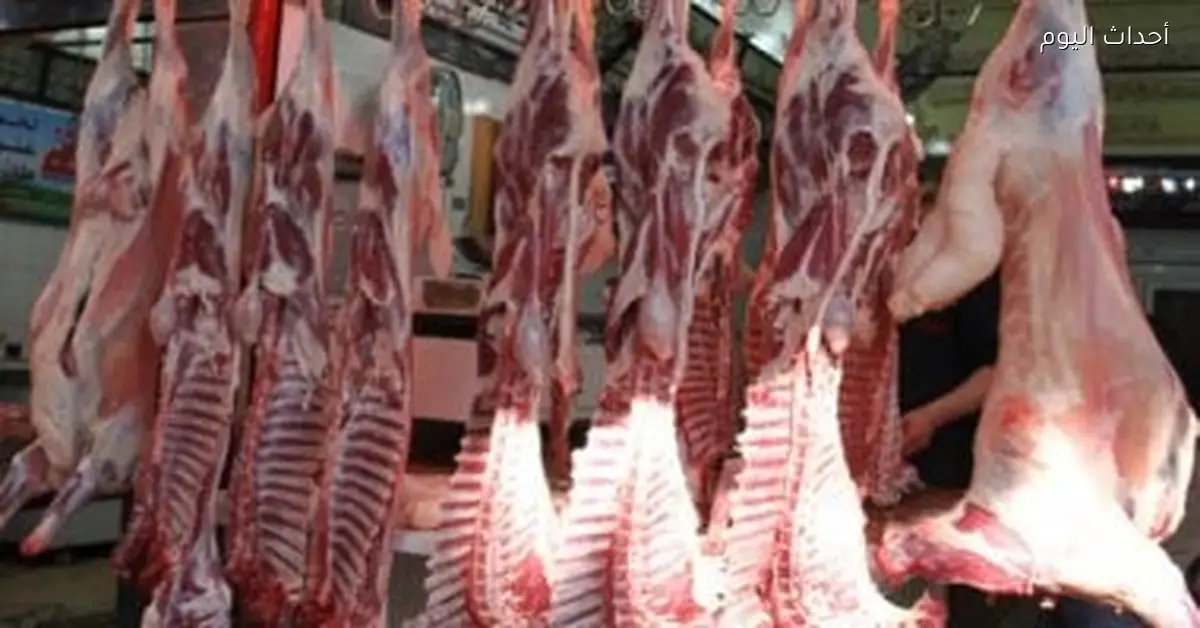 أسعار اللحوم في كفر الشيخ الأحد 11 يناير 2026