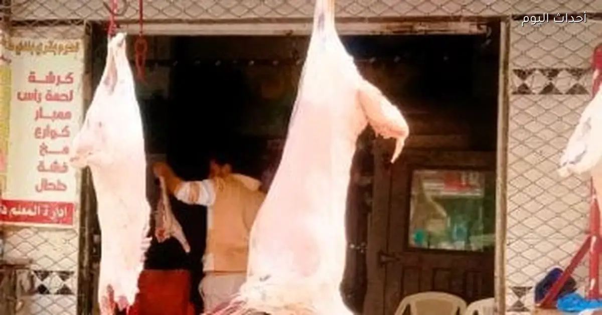 أسعار اللحوم في كفر الشيخ اليوم الثلاثاء 13 يناير 2026