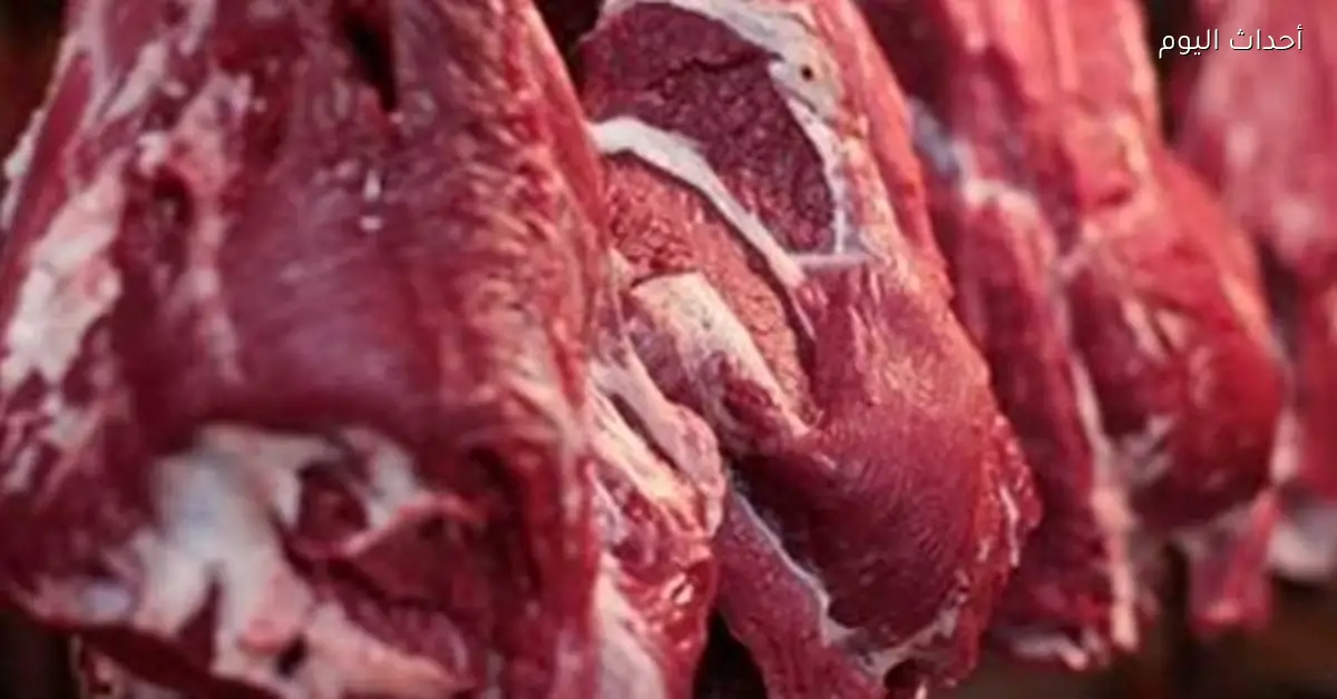 أسعار كيلو اللحوم اليوم الثلاثاء 6 يناير 2026