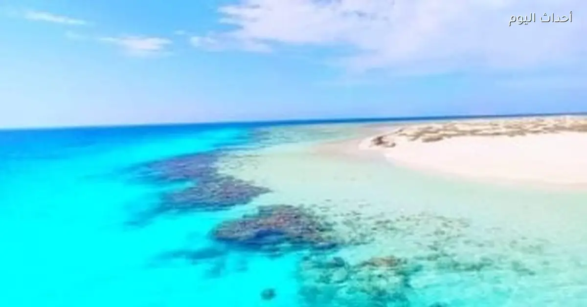 أم الشيخ جزيرة مفتوحة لعشاق السياحة البيئية والغوص في مرسى علم