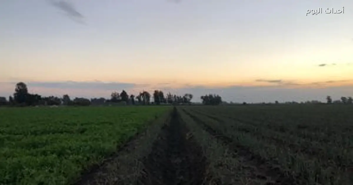 أيام البرد في الشتاء من الكوالح للصوالح