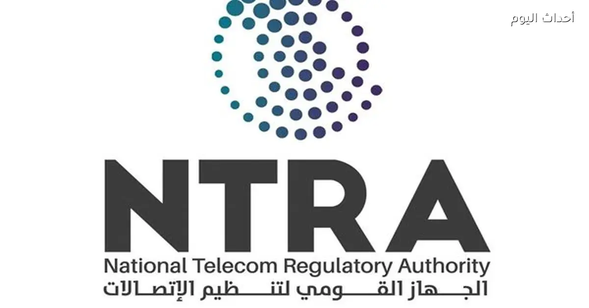 إطلاق منصة أوكشنز لبيع خدمات الاتصالات في مصر